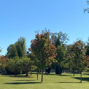 Meet your Posher, Bertha